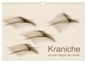 Kraniche auf dem Weg nach Süden (Wandkalender 2024 DIN A4 quer), CALVENDO Monatskalender von Wilhelm,  N.