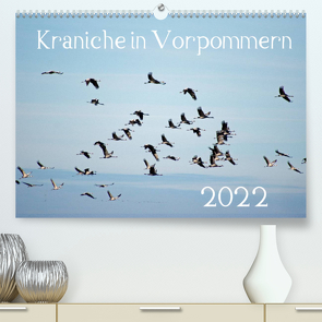 Kraniche in Vorpommern (Premium, hochwertiger DIN A2 Wandkalender 2022, Kunstdruck in Hochglanz) von Reinhold,  Siegfried