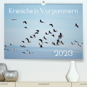 Kraniche in Vorpommern (Premium, hochwertiger DIN A2 Wandkalender 2023, Kunstdruck in Hochglanz) von Reinhold,  Siegfried