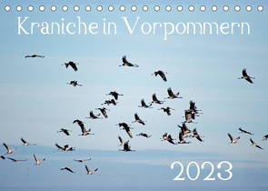 Kraniche in Vorpommern (Tischkalender 2023 DIN A5 quer) von Reinhold,  Siegfried