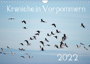 Kraniche in Vorpommern (Wandkalender 2022 DIN A4 quer) von Reinhold,  Siegfried