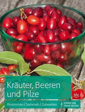 Kräuter, Beeren und Pilze von Hecker,  Frank