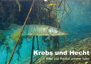 Krebs und Hecht – Ritter und Räuber unserer Seen (Wandkalender 2018 DIN A2 quer) von Suttrop,  Christian