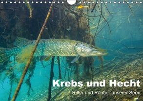 Krebs und Hecht – Ritter und Räuber unserer Seen (Wandkalender 2018 DIN A4 quer) von Suttrop,  Christian