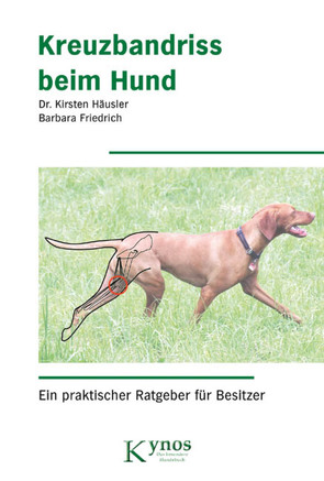 Kreuzbandriss beim Hund von Friedrich,  Barbara, Häusler,  Dr. Kirsten