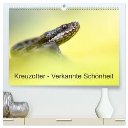 Kreuzotter – Verkannte Schönheit (hochwertiger Premium Wandkalender 2024 DIN A2 quer), Kunstdruck in Hochglanz von Marth,  Thomas