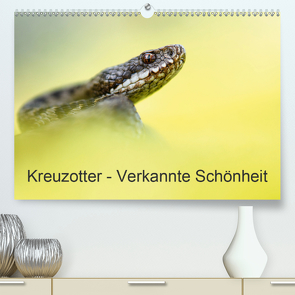 Kreuzotter – Verkannte Schönheit (Premium, hochwertiger DIN A2 Wandkalender 2021, Kunstdruck in Hochglanz) von Marth,  Thomas