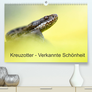 Kreuzotter – Verkannte Schönheit (Premium, hochwertiger DIN A2 Wandkalender 2022, Kunstdruck in Hochglanz) von Marth,  Thomas