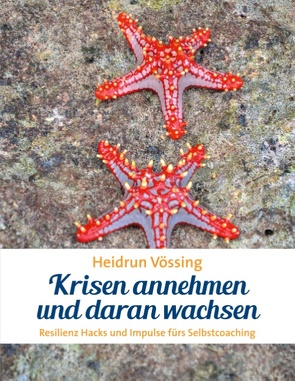 Krisen annehmen und daran wachsen von Vössing,  Heidrun