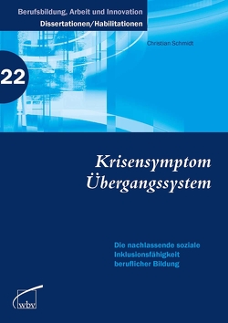 Krisensymptom Übergangssystem von Schmidt,  Christian