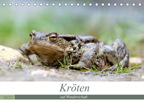 Kröten auf Wanderschaft (Tischkalender 2022 DIN A5 quer) von Rudolf Bogner,  Johann