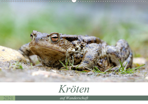 Kröten auf Wanderschaft (Wandkalender 2021 DIN A2 quer) von Rudolf Bogner,  Johann