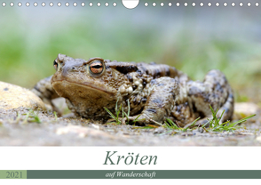 Kröten auf Wanderschaft (Wandkalender 2021 DIN A4 quer) von Rudolf Bogner,  Johann
