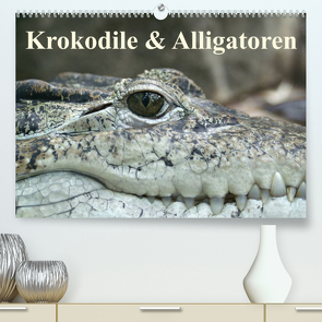 Krokodile & Alligatoren (Premium, hochwertiger DIN A2 Wandkalender 2023, Kunstdruck in Hochglanz) von Stanzer,  Elisabeth