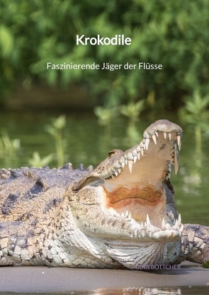 Krokodile – Faszinierende Jäger der Flüsse von Böttcher,  Gina