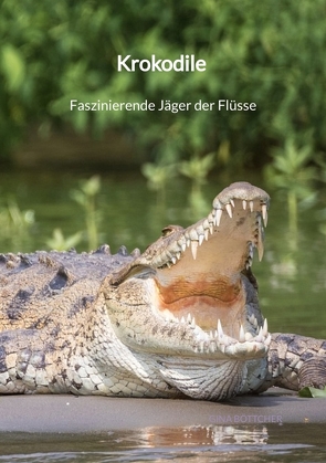 Krokodile – Faszinierende Jäger der Flüsse von Böttcher,  Gina