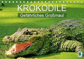 Krokodile: Gefährliches Großmaul (Tischkalender 2018 DIN A5 quer) von CALVENDO