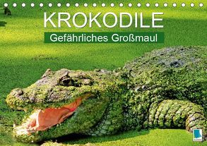 Krokodile: Gefährliches Großmaul (Tischkalender 2019 DIN A5 quer) von CALVENDO