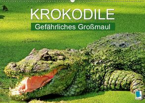 Krokodile: Gefährliches Großmaul (Wandkalender 2019 DIN A2 quer) von CALVENDO