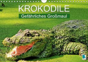 Krokodile: Gefährliches Großmaul (Wandkalender 2019 DIN A4 quer) von CALVENDO