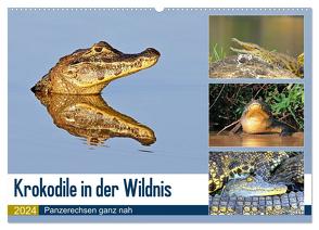 Krokodile in der Wildnis (Wandkalender 2024 DIN A2 quer), CALVENDO Monatskalender von und Michael Herzog,  Yvonne