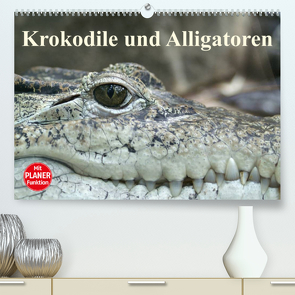 Krokodile und Alligatoren (Premium, hochwertiger DIN A2 Wandkalender 2023, Kunstdruck in Hochglanz) von Stanzer,  Elisabeth