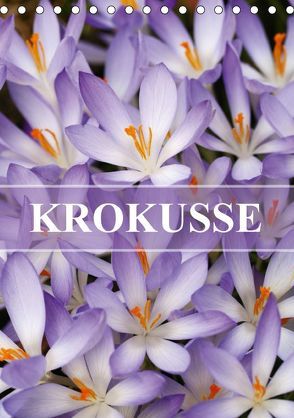 KROKUSSE (Tischkalender 2018 DIN A5 hoch) von Kruse,  Gisela