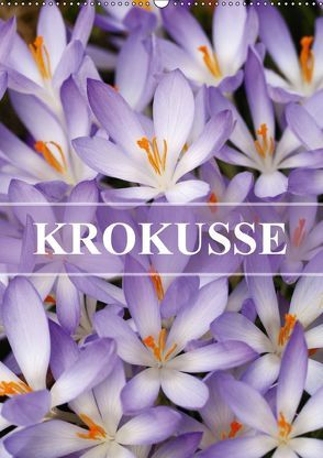 KROKUSSE (Wandkalender 2018 DIN A2 hoch) von Kruse,  Gisela