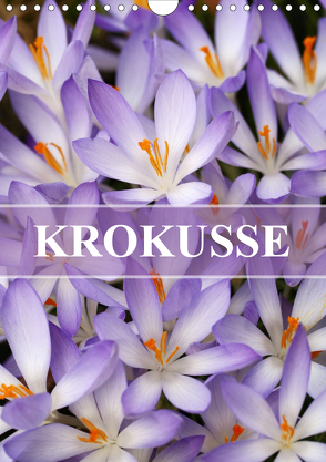 KROKUSSE (Wandkalender 2020 DIN A4 hoch) von Kruse,  Gisela