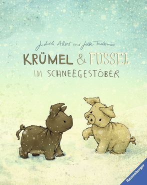 Krümel und Fussel – Im Schneegestöber von Allert,  Judith, Tourlonias,  Joelle