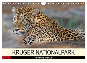 KRUGER NATIONALPARK Afrikas Perle (Wandkalender 2024 DIN A4 quer), CALVENDO Monatskalender von Woyke,  Wibke