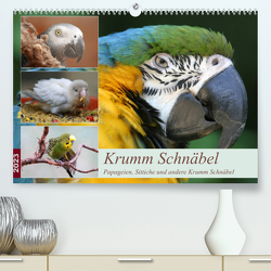 Krumm Schnäbel – Papageien, Sittiche und andere Krumm Schnäbel (Premium, hochwertiger DIN A2 Wandkalender 2023, Kunstdruck in Hochglanz) von Mielewczyk,  Barbara