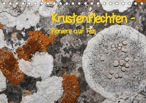 Krustenflechten – Pioniere auf Fels (Tischkalender 2018 DIN A5 quer) von focusnatura.at