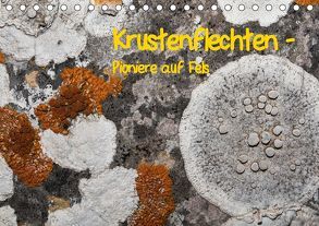 Krustenflechten – Pioniere auf Fels (Tischkalender 2019 DIN A5 quer) von focusnatura.at