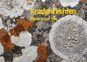 Krustenflechten – Pioniere auf Fels (Wandkalender 2018 DIN A3 quer) von focusnatura.at