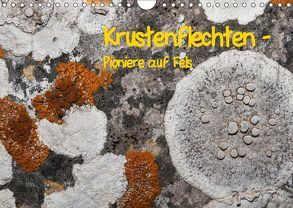 Krustenflechten – Pioniere auf Fels (Wandkalender 2019 DIN A4 quer) von focusnatura.at