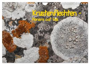 Krustenflechten – Pioniere auf Fels (Wandkalender 2024 DIN A4 quer), CALVENDO Monatskalender von focusnatura.at,  focusnatura.at