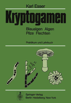 Kryptogamen von Esser,  Karl, Graw,  Dieter, Prillinger,  Hansjörg, Rathke,  Hans-J., Söngen,  Helmut, Stahl,  Ulf