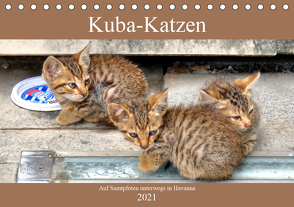 Kuba-Katzen – Auf Samtpfoten unterwegs in Havanna (Tischkalender 2021 DIN A5 quer) von von Loewis of Menar,  Henning