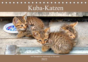 Kuba-Katzen – Auf Samtpfoten unterwegs in Havanna (Tischkalender 2022 DIN A5 quer) von von Loewis of Menar,  Henning