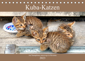 Kuba-Katzen – Auf Samtpfoten unterwegs in Havanna (Tischkalender 2023 DIN A5 quer) von von Loewis of Menar,  Henning