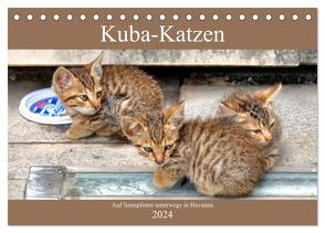 Kuba-Katzen – Auf Samtpfoten unterwegs in Havanna (Tischkalender 2024 DIN A5 quer), CALVENDO Monatskalender von von Loewis of Menar,  Henning