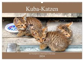 Kuba-Katzen – Auf Samtpfoten unterwegs in Havanna (Wandkalender 2024 DIN A2 quer), CALVENDO Monatskalender von von Loewis of Menar,  Henning