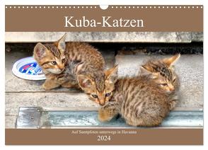 Kuba-Katzen – Auf Samtpfoten unterwegs in Havanna (Wandkalender 2024 DIN A3 quer), CALVENDO Monatskalender von von Loewis of Menar,  Henning