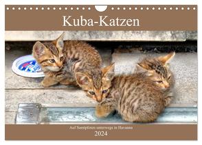 Kuba-Katzen – Auf Samtpfoten unterwegs in Havanna (Wandkalender 2024 DIN A4 quer), CALVENDO Monatskalender von von Loewis of Menar,  Henning