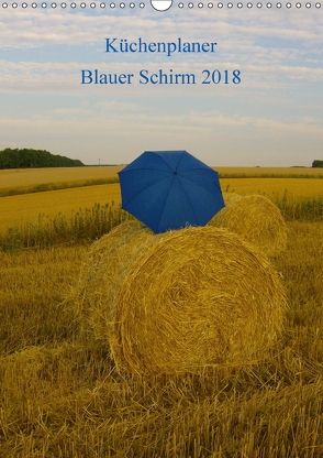 Küchenplaner Blauer Schirm (Wandkalender 2018 DIN A3 hoch) von Zahn,  André