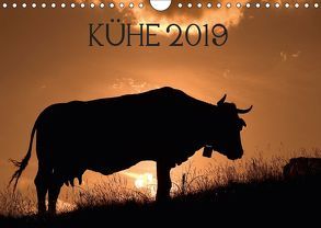 Kühe 2019 (Wandkalender 2019 DIN A4 quer) von Ruiz del Olmo,  Jorge