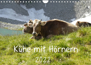 Kühe mit Hörnern (Wandkalender 2022 DIN A4 quer) von Goldscheider,  Stefanie