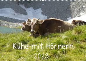 Kühe mit Hörnern (Wandkalender 2023 DIN A2 quer) von Goldscheider,  Stefanie