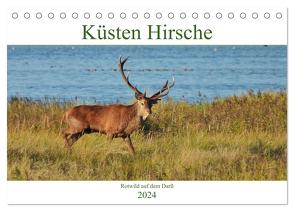 Küsten Hirsche – Rotwild auf dem Darß (Tischkalender 2024 DIN A5 quer), CALVENDO Monatskalender von Schaack,  René